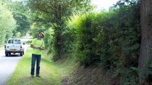 A qualified expert surveying trees as part of consultancy services