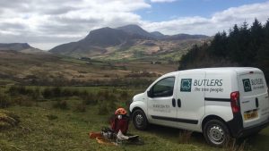 Tree surgery berkshire, tree surgery hampshire, tree surgery gloucestershire