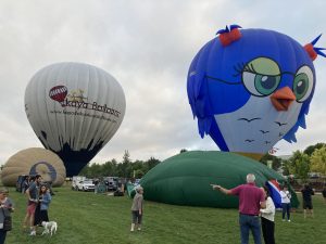 The hot air balloon among other balloons