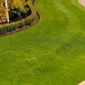 Turf laying is one of the main soft landscaping services Butlers provide